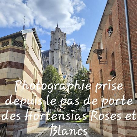 Les Hortensias Blancs Studio Amiens Kültér fotó